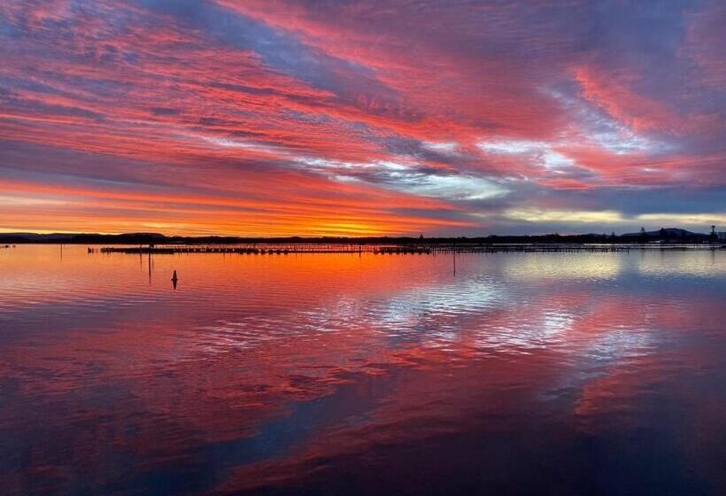 Sunrise Luxury Apartments