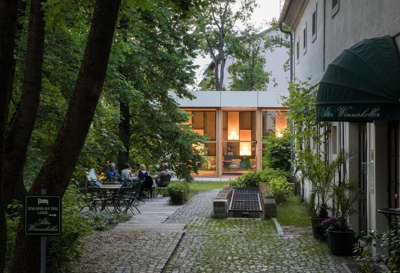 住宿加早餐  Alter Winzerkeller