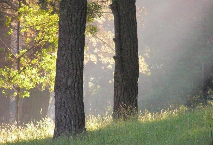 צימר Signal Box Short Stay