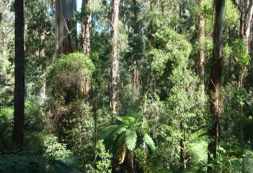 Aamiaismajoitus (B&B) Signal Box Short Stay