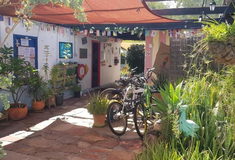 ユースホステル Alice's Secret Travellers Inn