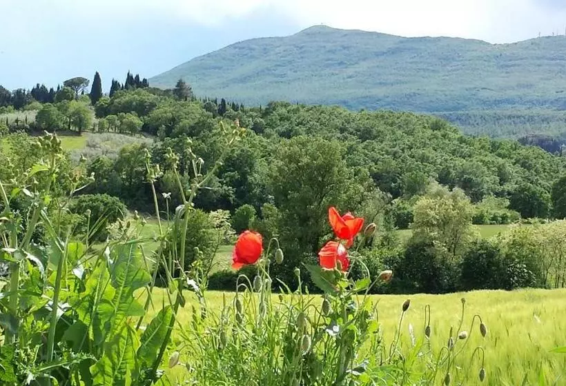ベッドアンドブレックファースト Podere Lamaccia Monolocali