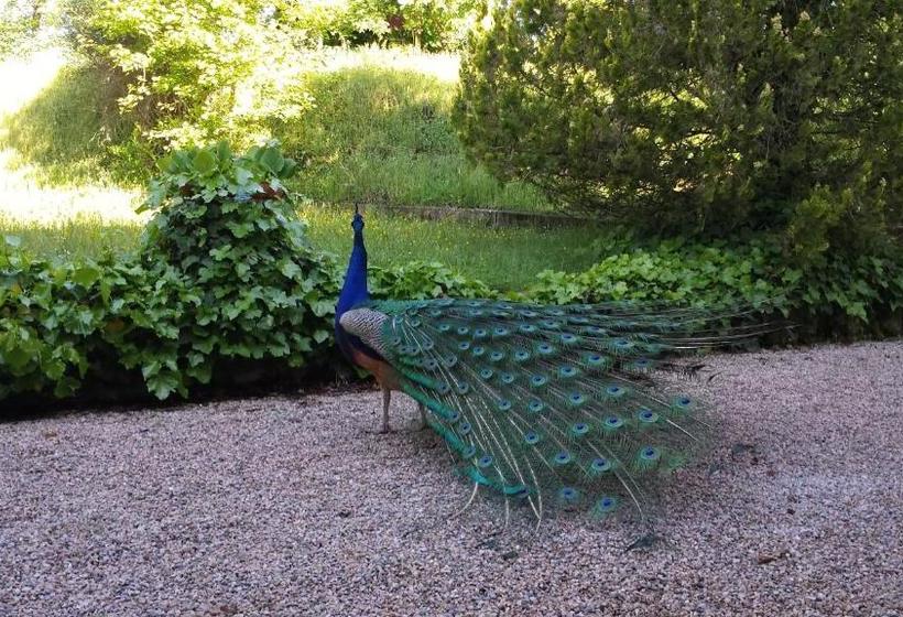 צימר Podere Lamaccia Monolocali