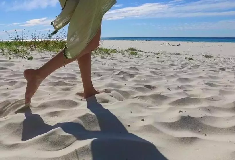 Hotelli Anchorage On Straddie