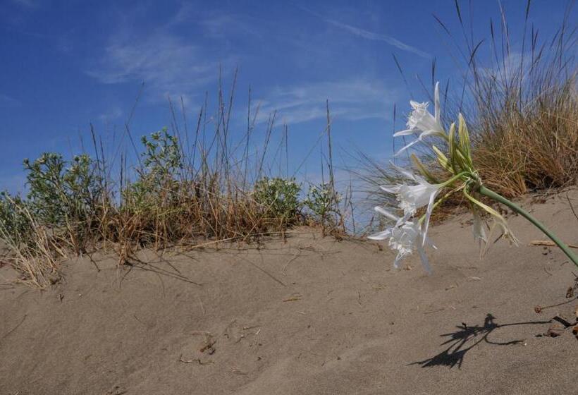 בית מלון כפרי Azienda Agrituristica Il Giuggiolo