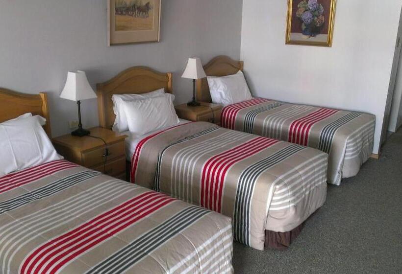 汽车旅馆  Acacia Rose Motor Inn