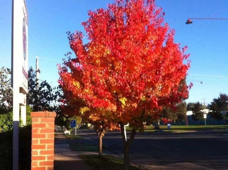 Motelli Mansfield Travellers Lodge