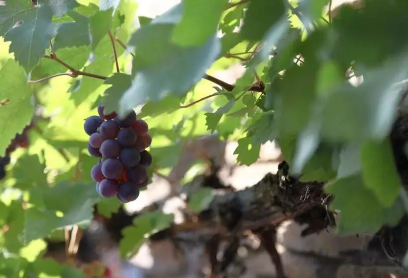 Majatalo Gästehaus Knaup