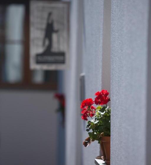 膳宿费 Piltriquitron Lodging