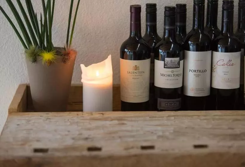 پانسیون Piltriquitron Lodging