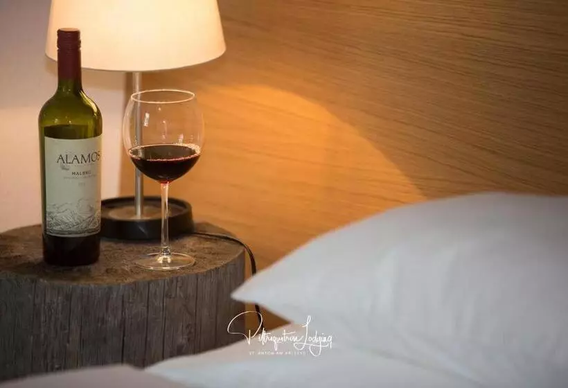 پانسیون Piltriquitron Lodging