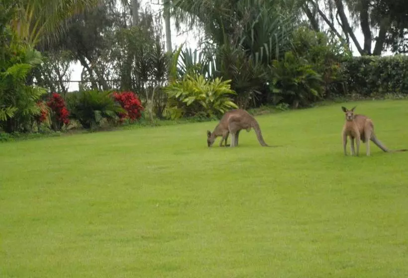 Lomakeskus Woodgate Beach Houses