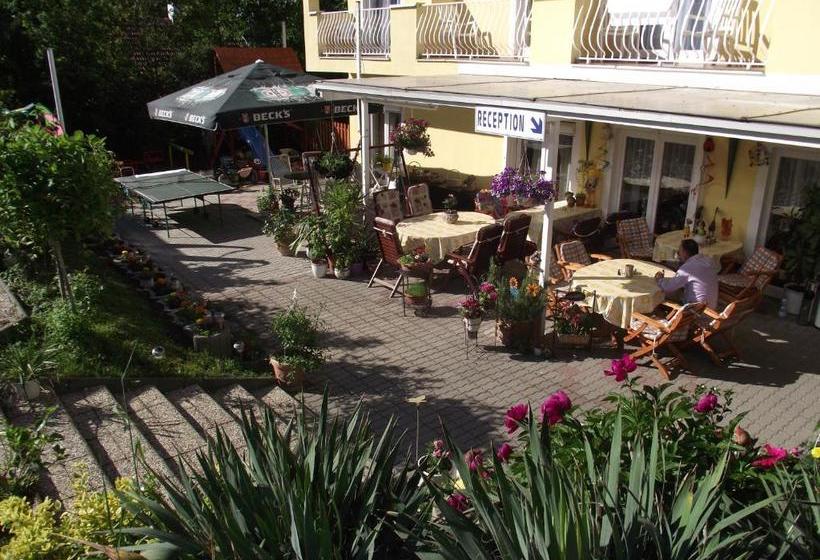 Bed and Breakfast Aqua Ház Panzió 2