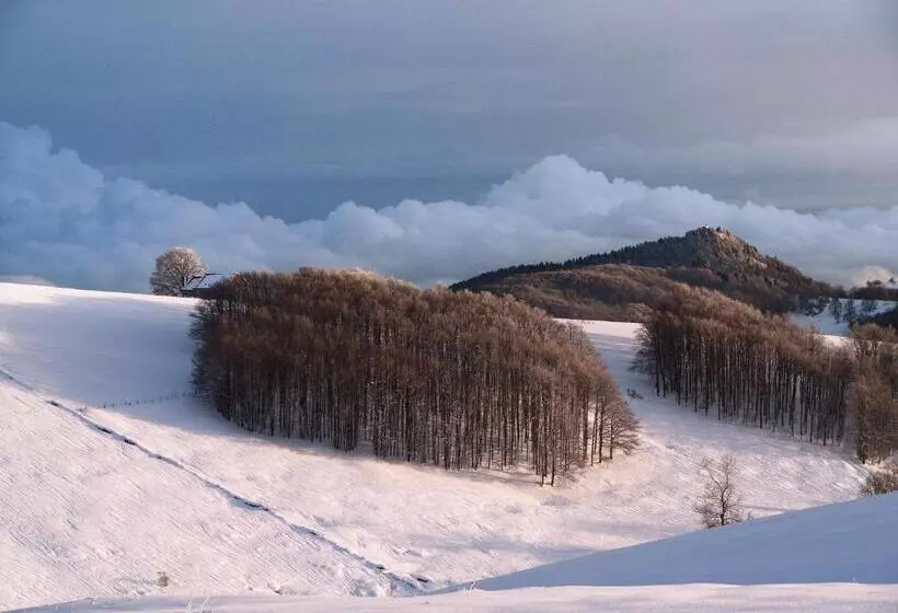 Hotelli 13 Comuni Ristorante E Albergo