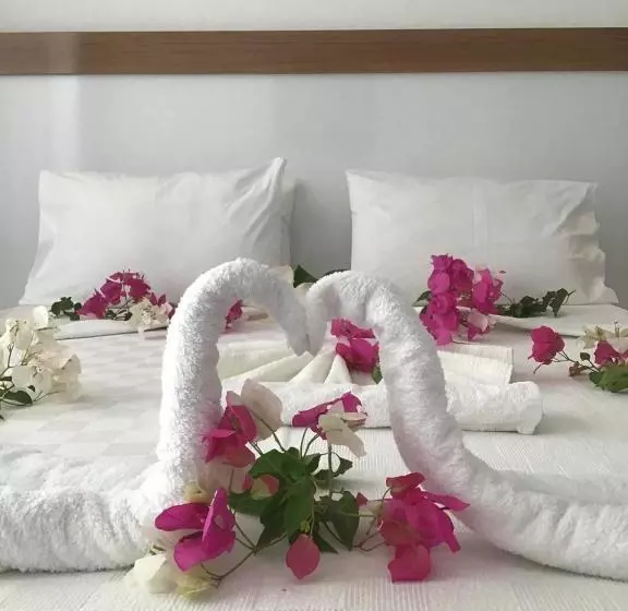 Hotel Altunakar 1