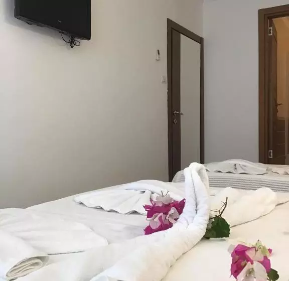 Hotel Altunakar 1