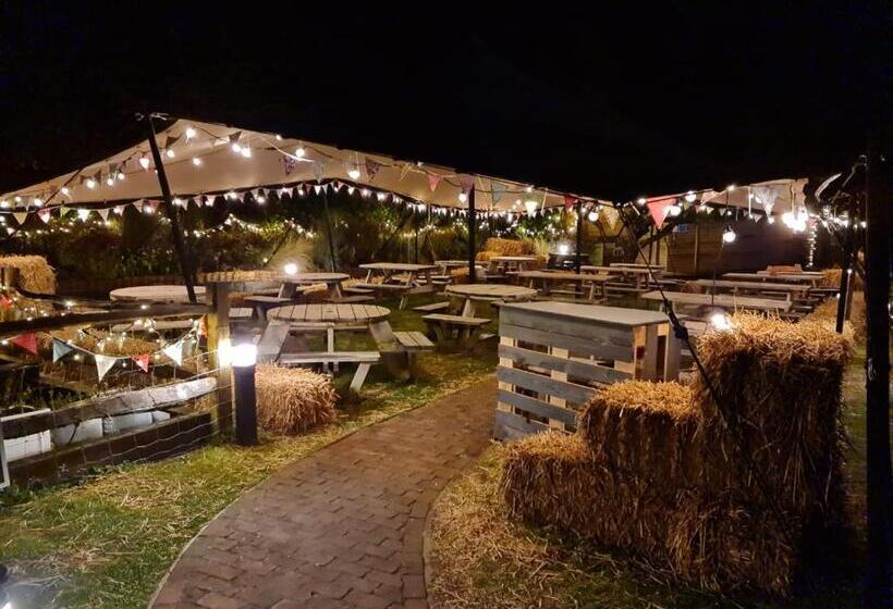 בית מלון כפרי The Bull