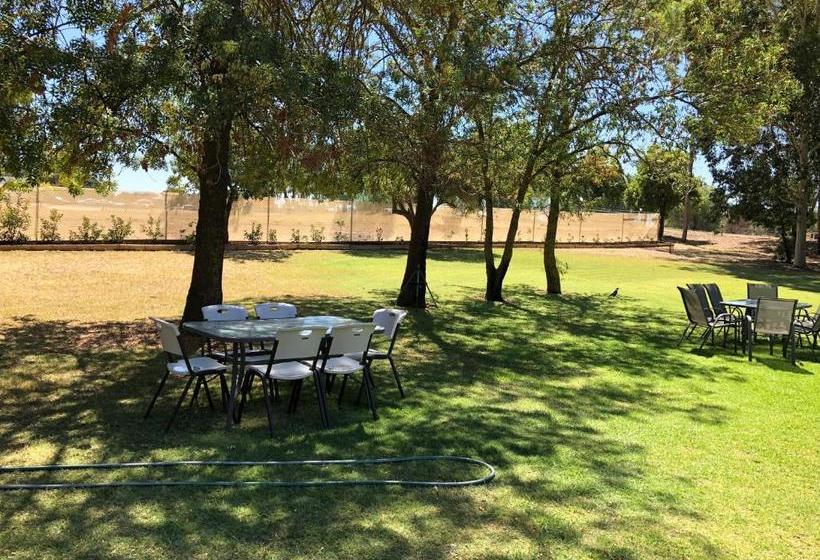 モーテル Bullanginya Lodge