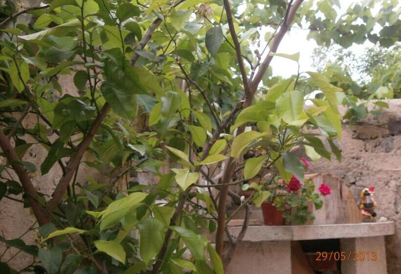 پانسیون Kupenova Guest House