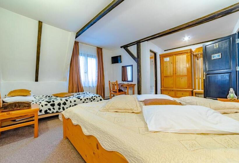 Pensiunea Hanul Oierului