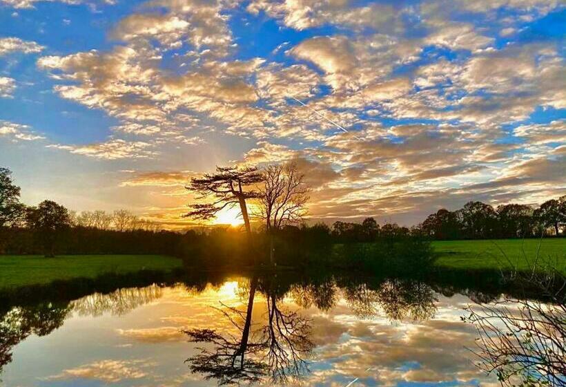 酒店 Chateau Du Bu