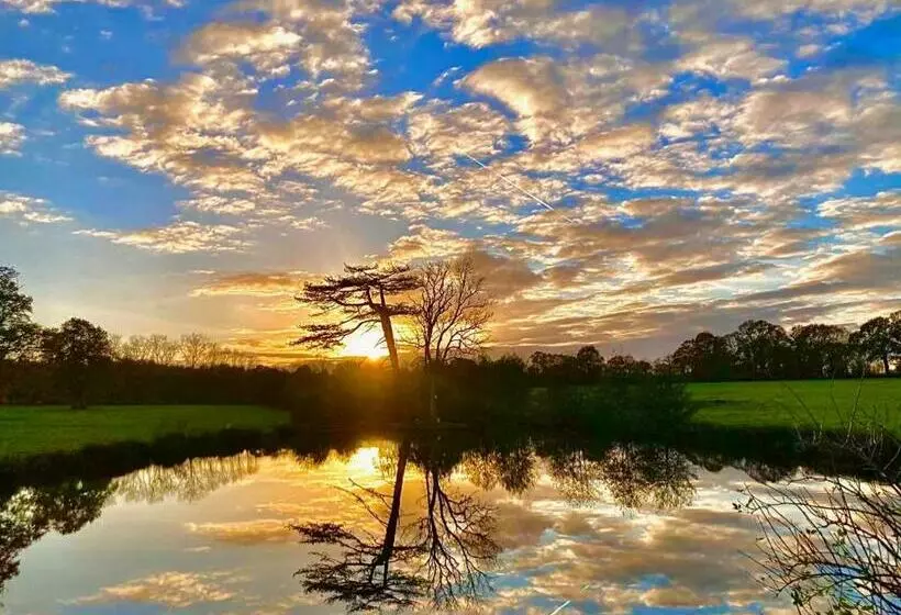 ホテル Chateau Du Bu