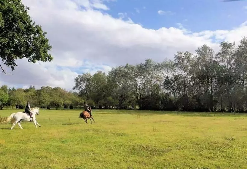 ホテル Chateau Du Bu