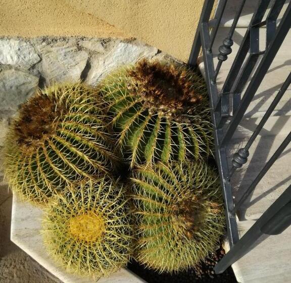 펜션 Molinello Station