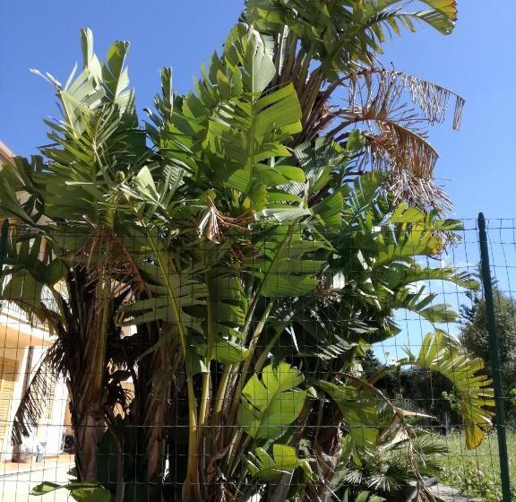 펜션 Molinello Station