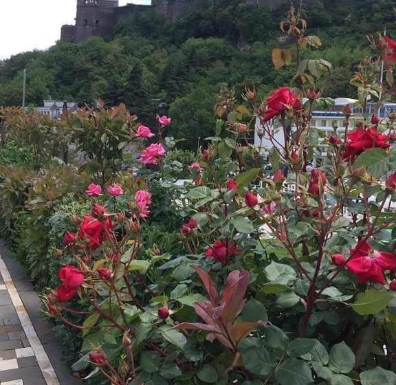 膳宿费 Silver Hill Guesthouse