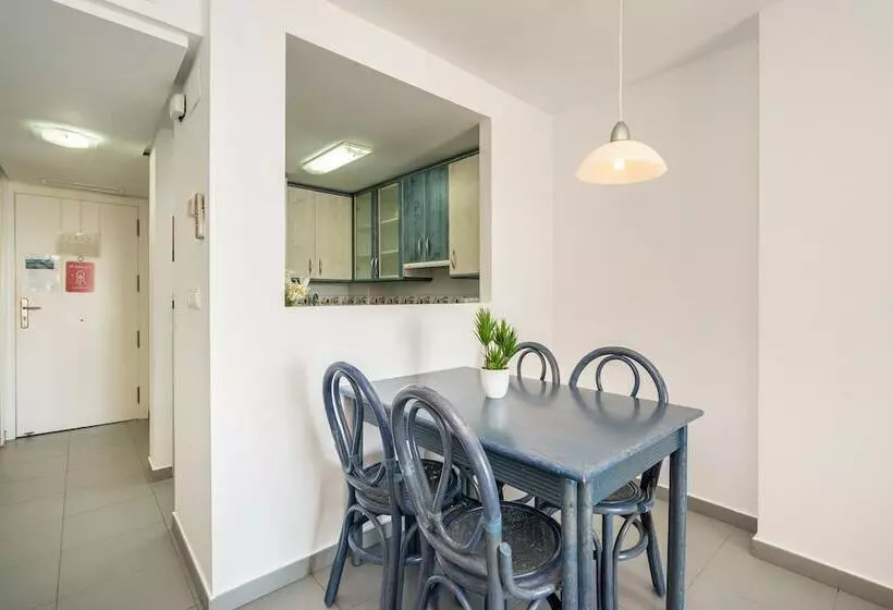 Apartamentos Hipocampos