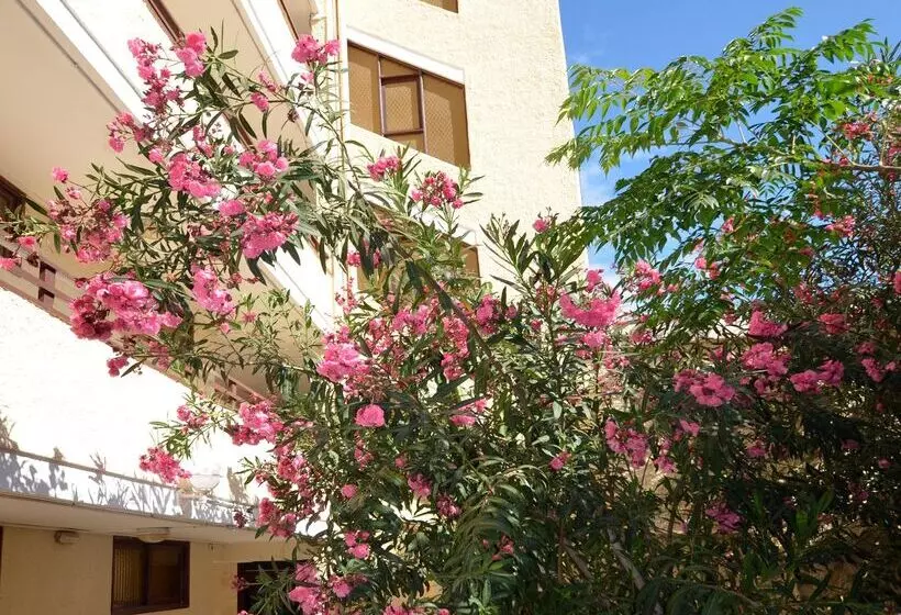 Apartamentos Los Juncos Ii