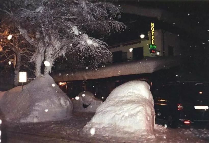 Hotel Albergo Martinet