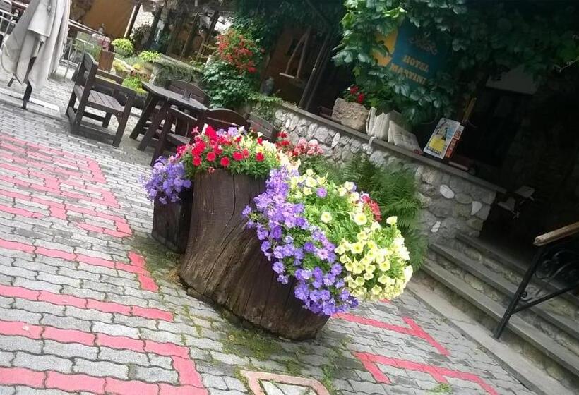 酒店 Albergo Martinet