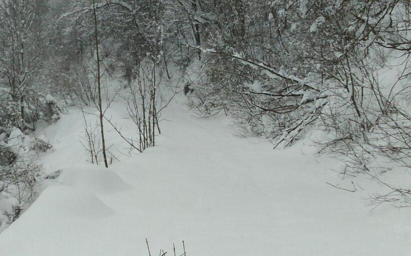 酒店 Albergo Martinet