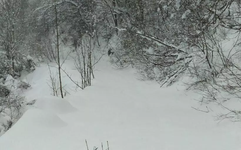 Hotel Albergo Martinet