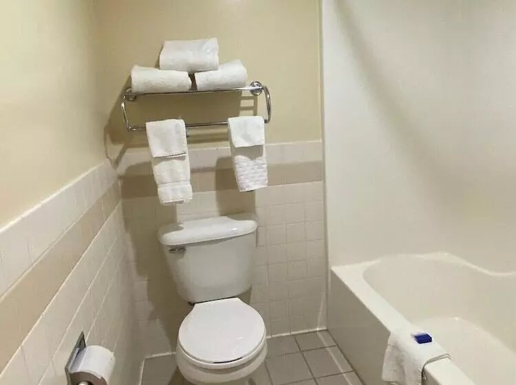 ホテル American Inn And Suites