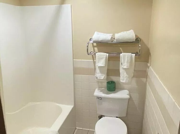 ホテル American Inn And Suites