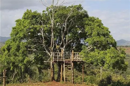 Hotel Paraiso Carlisa