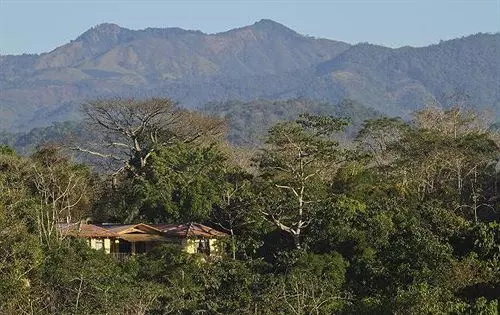 Hotel Paraiso Carlisa