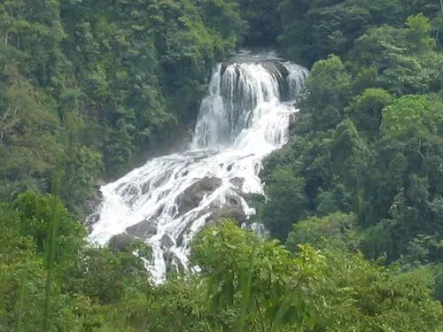 Hotel Paraiso Carlisa