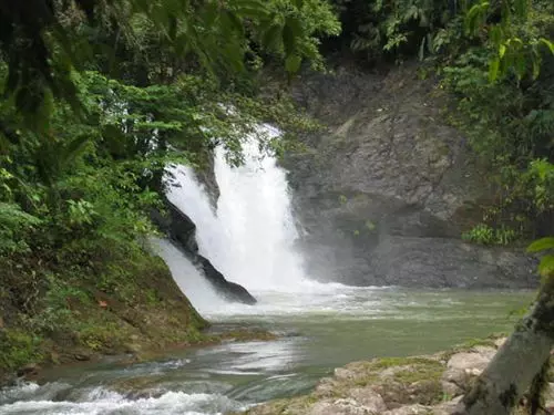 Hotel Paraiso Carlisa