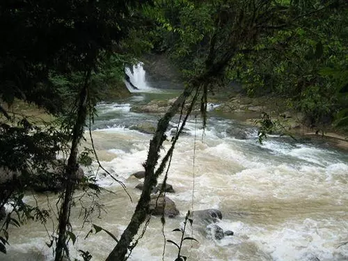 Hotel Paraiso Carlisa