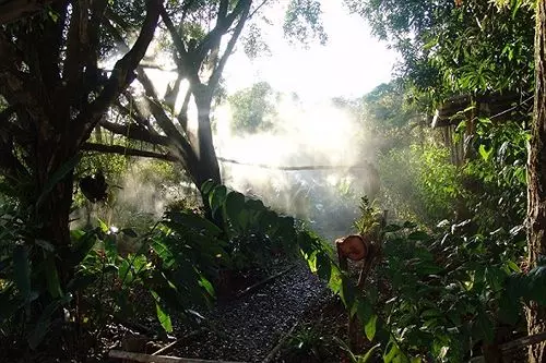 Hotel Paraiso Carlisa