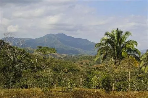 Hotel Paraiso Carlisa