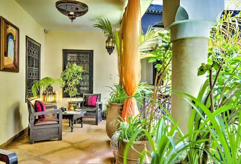 هتل Riad Dar El Souk