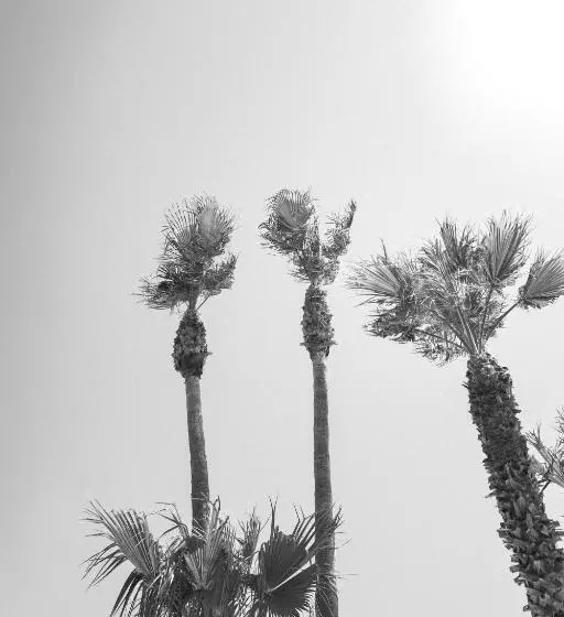 田舎風ホテル Can Arabí   Adults Only