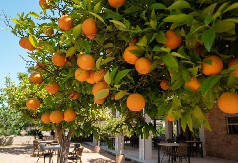 בית מלון כפרי Can Arabí Adults Only