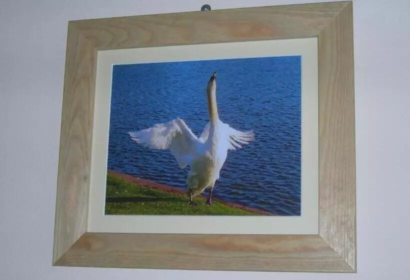 Retkeilymaja The Swan