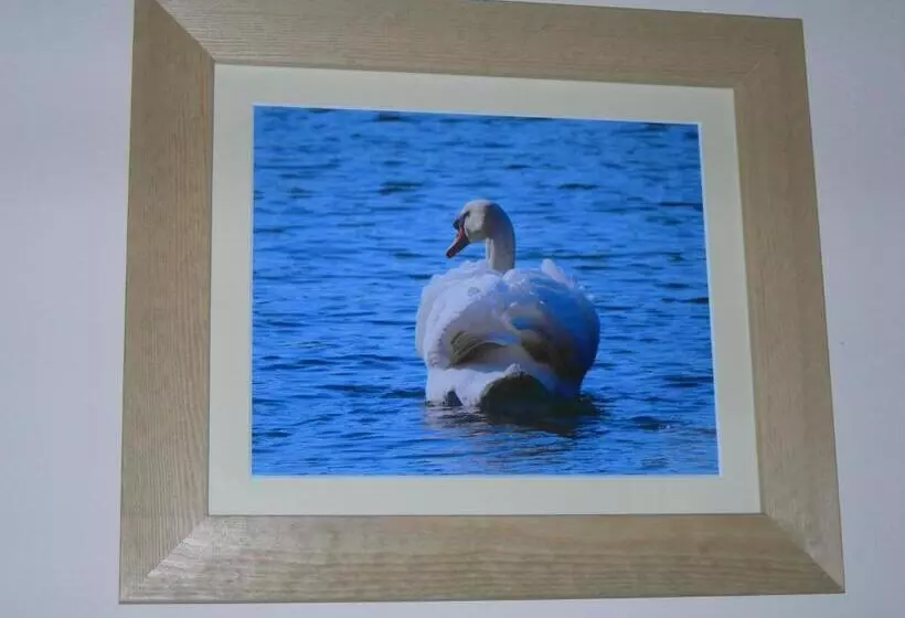 Retkeilymaja The Swan